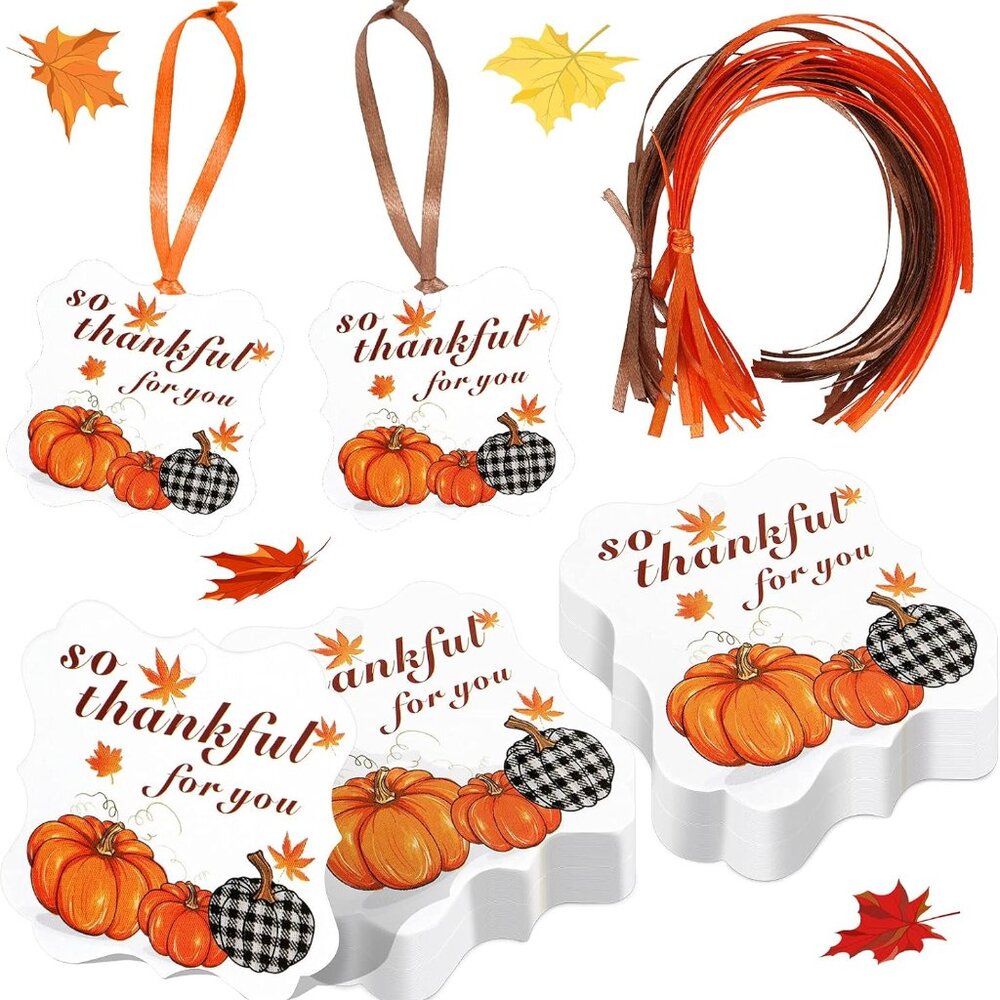 48 Pieces Thanksgiving Autumn Pumpkin So Thankful for You Gift Tags with Rope Pu
